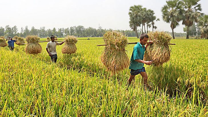 কৃষক বাঁচলে দেশ বাঁচবে, আমরা হব স্বনির্ভর (১ম পর্ব)