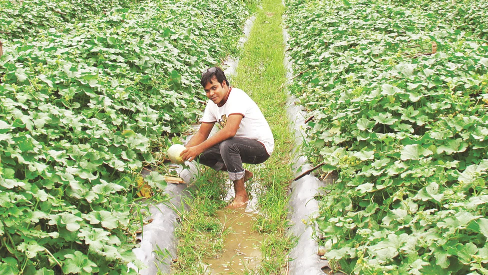 কৃষক বাঁচলে দেশ বাঁচবে, আমরা হব স্বনির্ভর (২য় পর্ব)